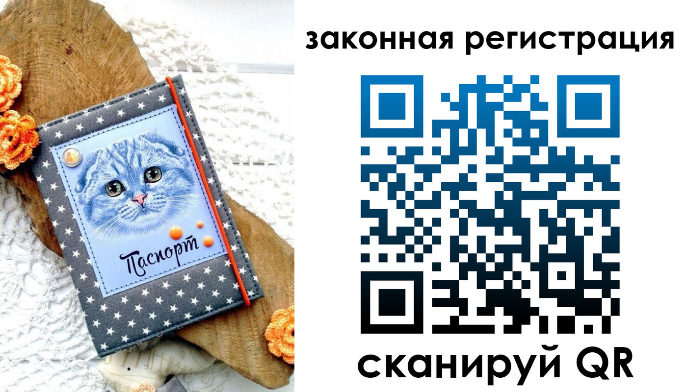 регистрация в Куртамыше